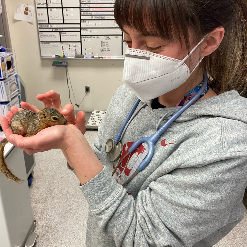 Meet your Posher, Maria